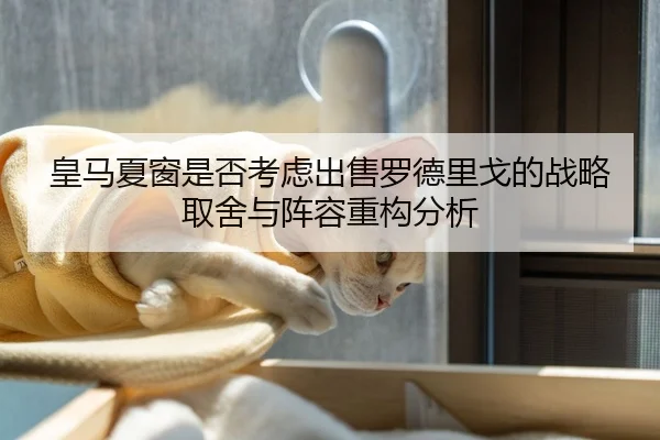 皇马夏窗是否考虑出售罗德里戈的战略取舍与阵容重构分析（kaiyun）